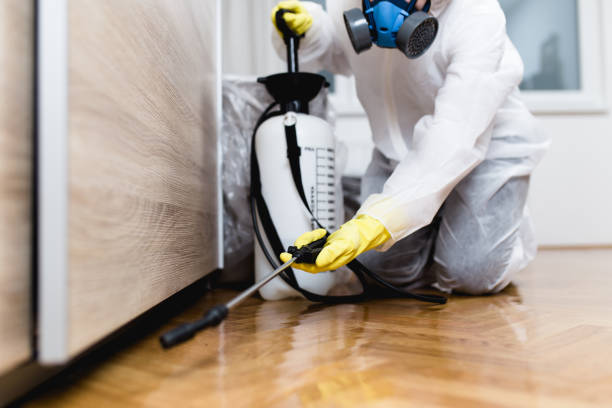 Reliable New Ulm, MN Pest Control Solutions