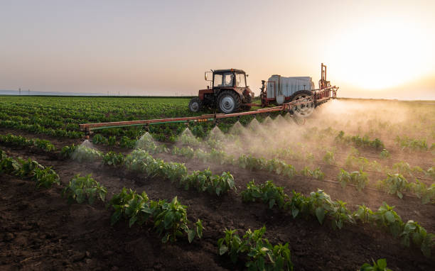 Best Pest Removal Services  in New Ulm, MN