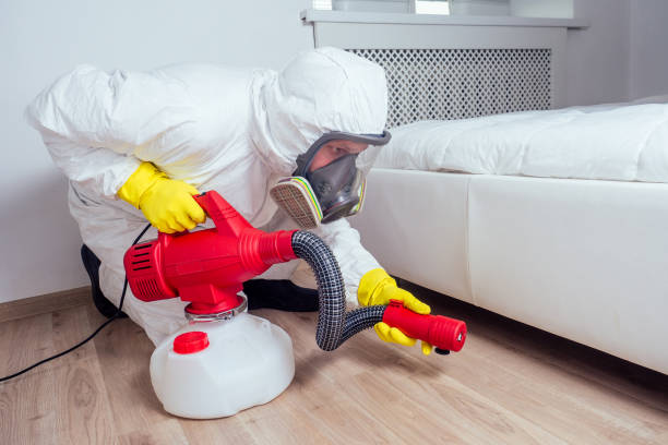  New Ulm, MN Pest Control Pros