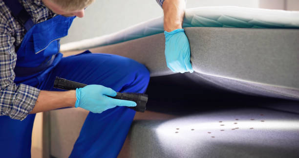 Best Commercial Pest Control Services  in New Ulm, MN