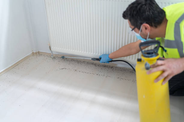 Best Commercial Pest Control Services  in New Ulm, MN