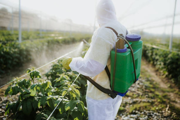 Best Ant Control Services  in New Ulm, MN